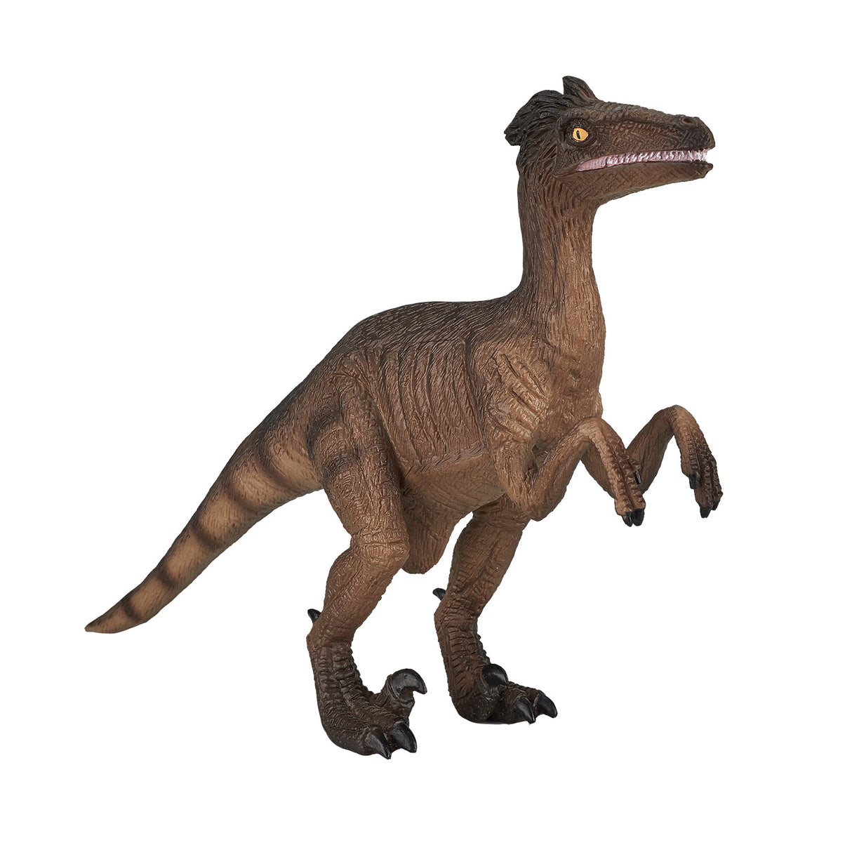 Mojo-Vorgeschichte-Velociraptor – 387225