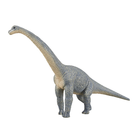 Mojo prähistorischer Brachiosaurus – 387044