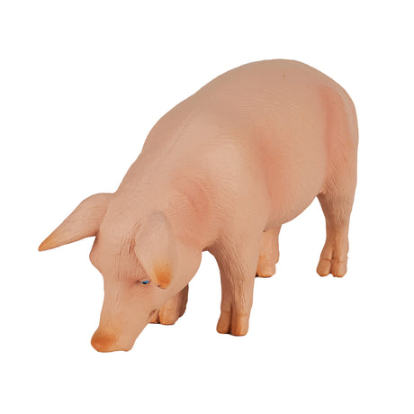 Mojo Ackerlandschwein Eber – 387080