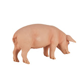Mojo Ackerlandschwein Eber – 387080