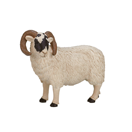 Mojo Ackerland Schafbock mit schwarzem Kopf – 387081
