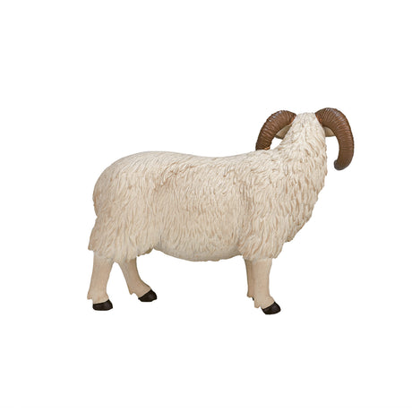 Mojo Ackerland Schafbock mit schwarzem Kopf – 387081