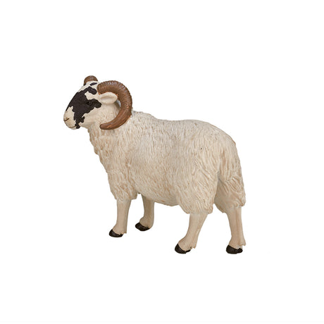 Mojo Ackerland Schafbock mit schwarzem Kopf – 387081