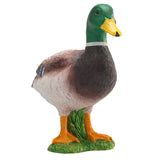 Mojo Ackerland Wildente – 387127