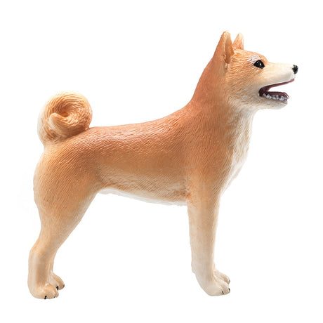Mojo Ackerland Shiba Inu – 387140
