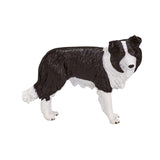 Mojo Ackerland Border Collie – 387203