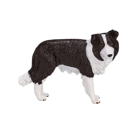 Mojo Ackerland Border Collie – 387203