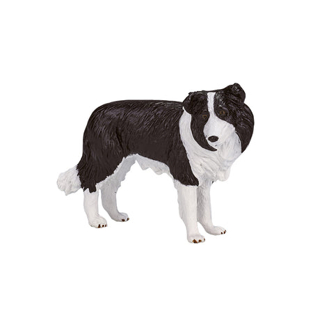 Mojo Ackerland Border Collie – 387203