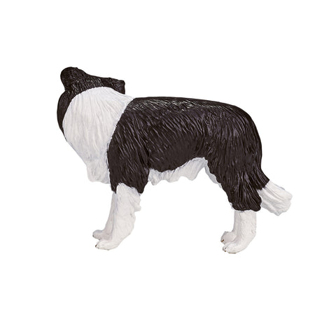 Mojo Ackerland Border Collie – 387203