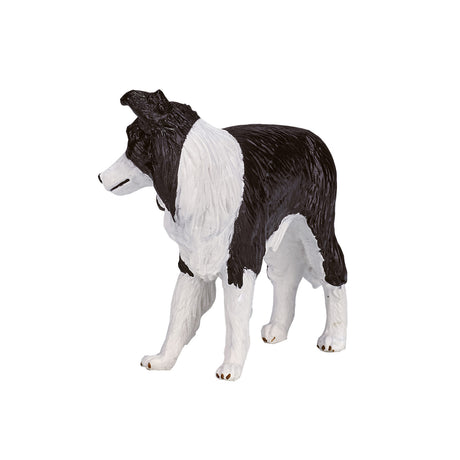 Mojo Ackerland Border Collie – 387203