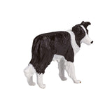 Mojo Ackerland Border Collie – 387203