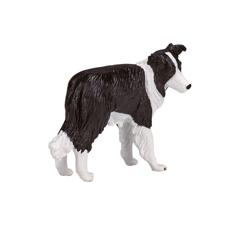 Mojo Ackerland Border Collie – 387203