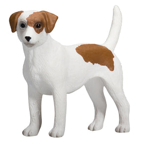 Mojo Ackerland Jack Russell Terrier – 387286