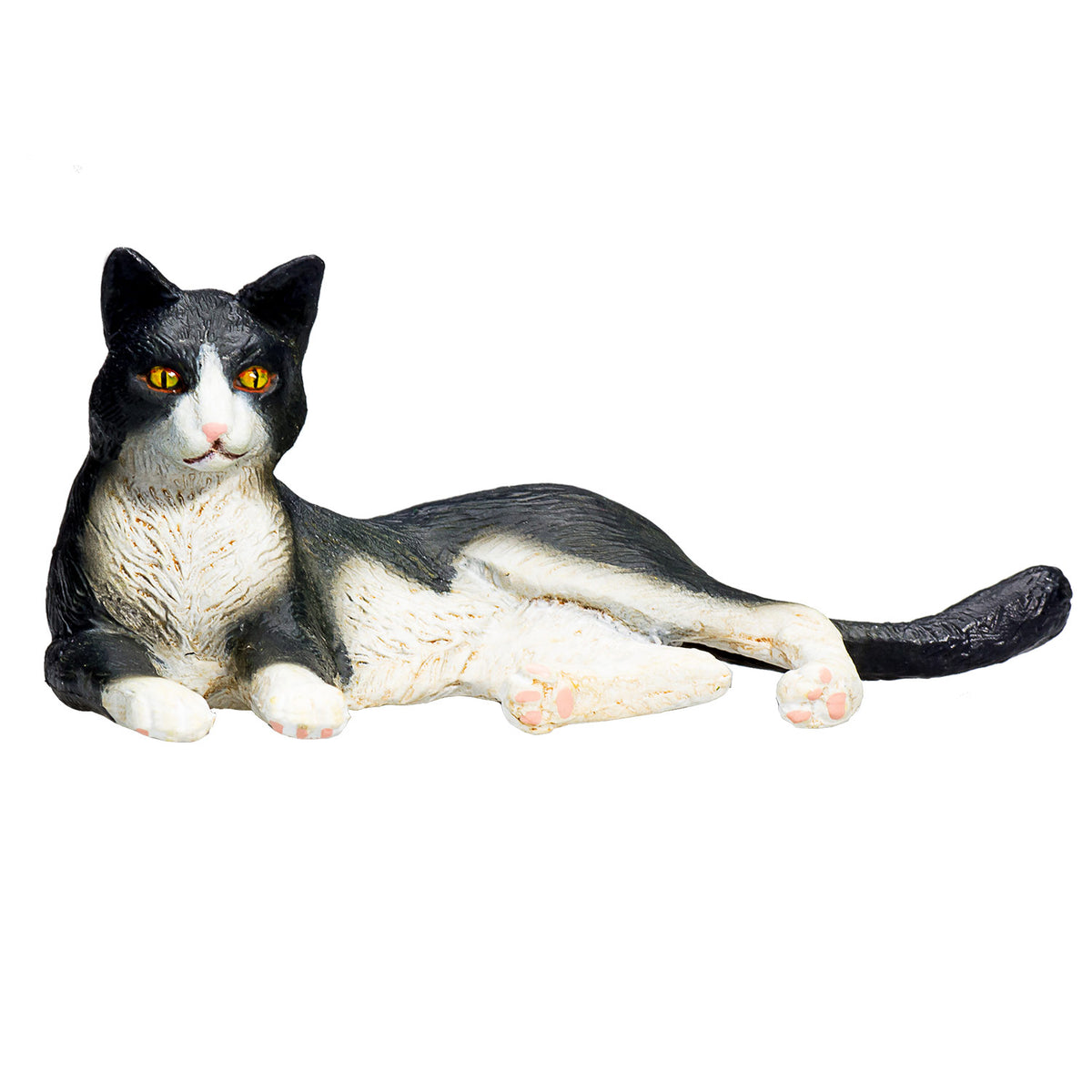 Mojo Ackerland liegende Katze schwarz und weiß – 387367