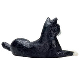 Mojo Ackerland liegende Katze schwarz und weiß – 387367