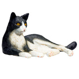 Mojo Ackerland liegende Katze schwarz und weiß – 387367