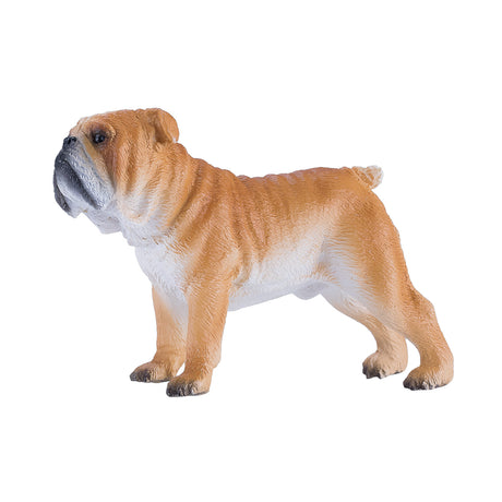 Mojo Farmland Englische Bulldogge – 381053
