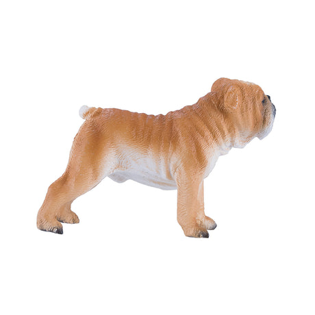 Mojo Farmland Englische Bulldogge – 381053