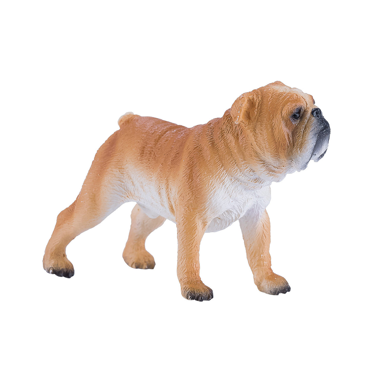 Mojo Farmland Englische Bulldogge – 381053
