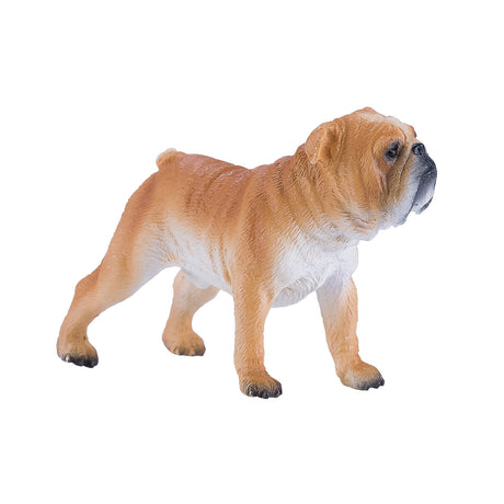 Mojo Farmland Englische Bulldogge – 381053