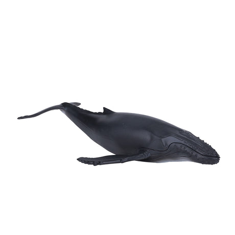 Mojo Sealife Buckelwal – 387119