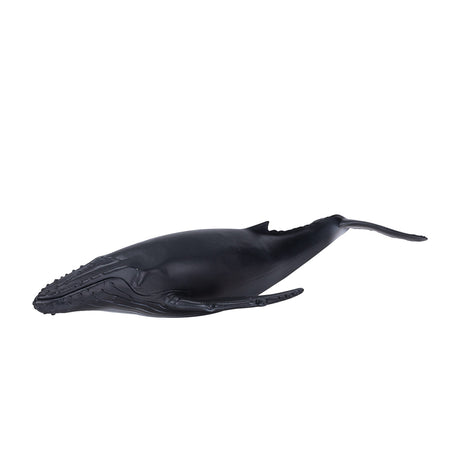 Mojo Sealife Buckelwal – 387119