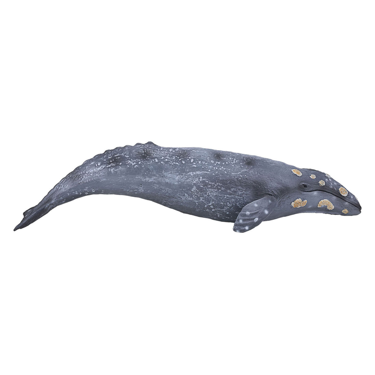Mojo Sealife - Grauwal 387280