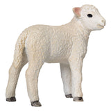 Mojo Ackerland Romney Lam Standing - 381065