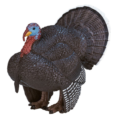 Mojo Ackerland männlicher Türkei - 387285