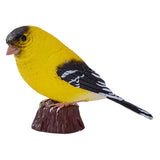 Mojo Ackerland Amerikanischer Gimpel - 381111