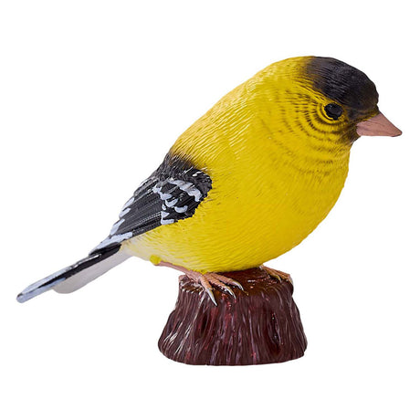 Mojo Ackerland Amerikanischer Gimpel - 381111