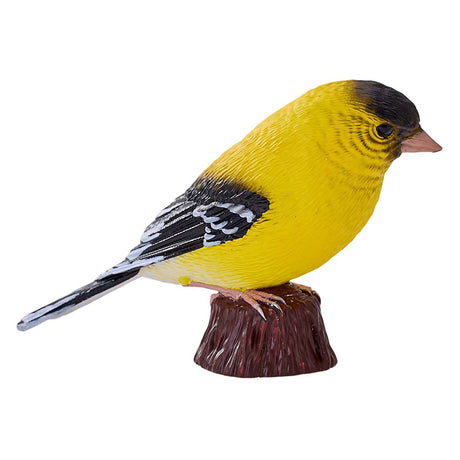 Mojo Ackerland Amerikanischer Gimpel - 381111