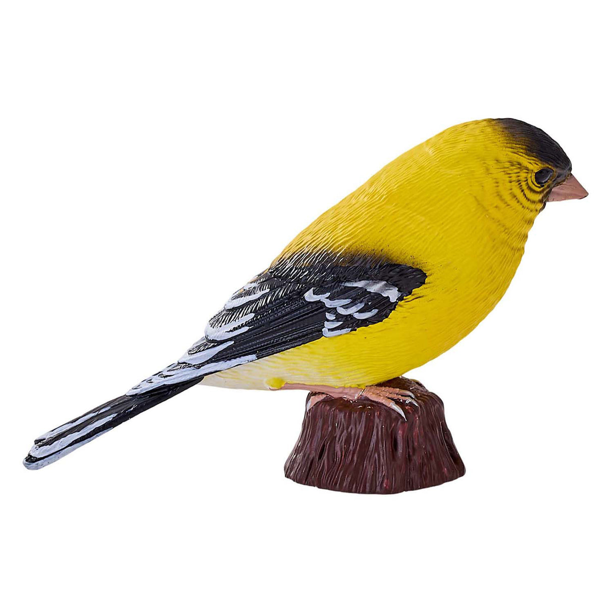 Mojo Ackerland Amerikanischer Gimpel - 381111