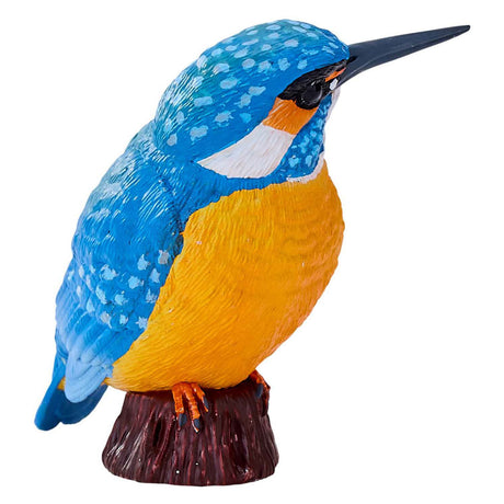 Mojo-Ackerland-Eisvogel - 381116