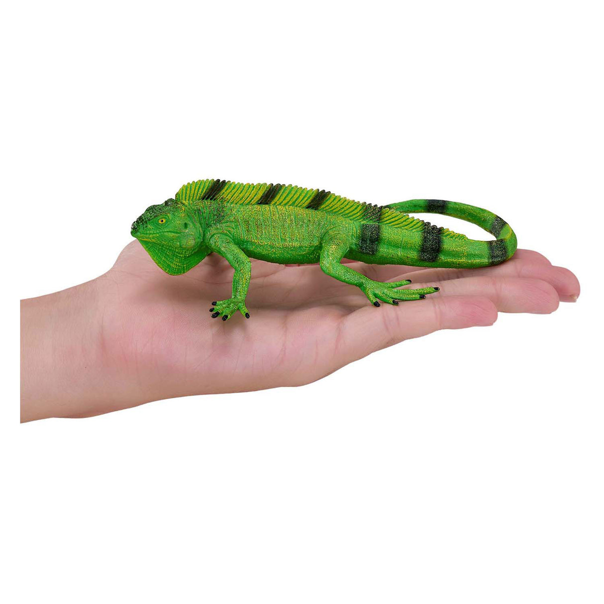 Mojo Wildlife Leguan – 381095