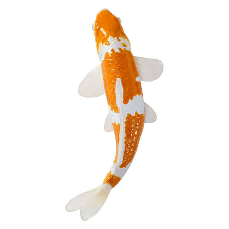 Mojo Sealife Koi-Karpfen – Ochiba Shigure Koi – 381104