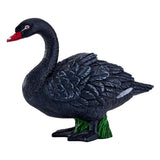 Mojo Ackerland schwarzer Schwan – 381067