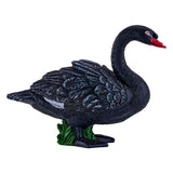Mojo Ackerland schwarzer Schwan – 381067