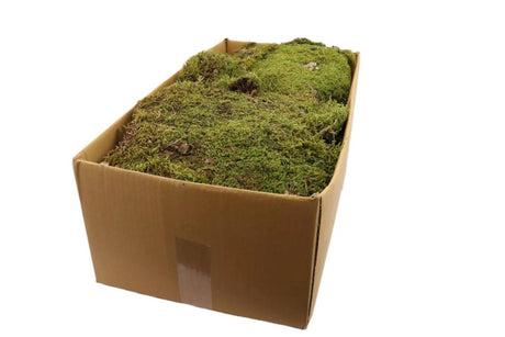 Hbx natural living decoratie platmos naturel 2 kg