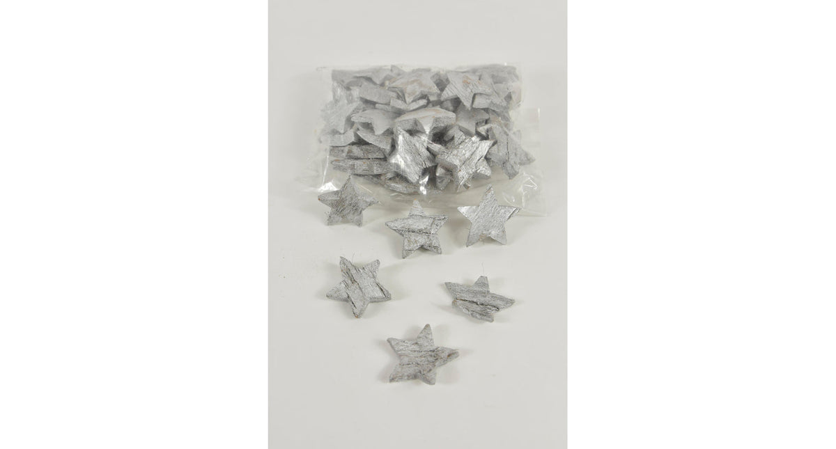 Kokosster zilver 5cm 50 stuks