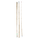 Hengel Bambus 200 cm