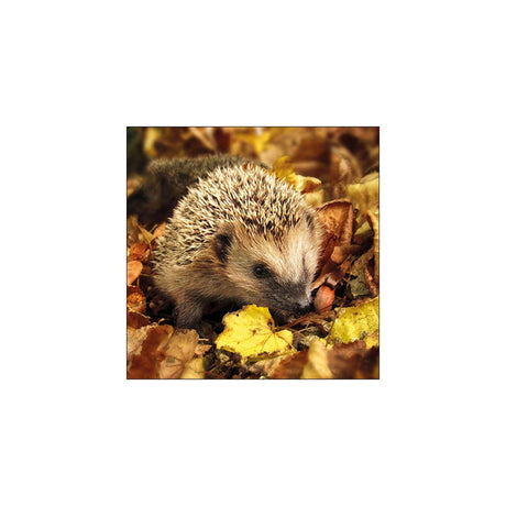 Ambiente Servietten Igel in freier Wildbahn 33cm