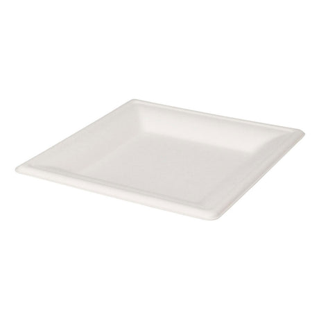 Einwegteller quadratisch 16cm, 8 Stk.