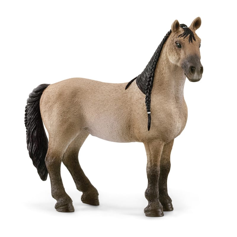 Schleich Horse Club – Criollo definitivo Stute – Spielfigur – Kinderspielzeug für Jungen und Mädchen – 5 bis 12 Jahre – 13948