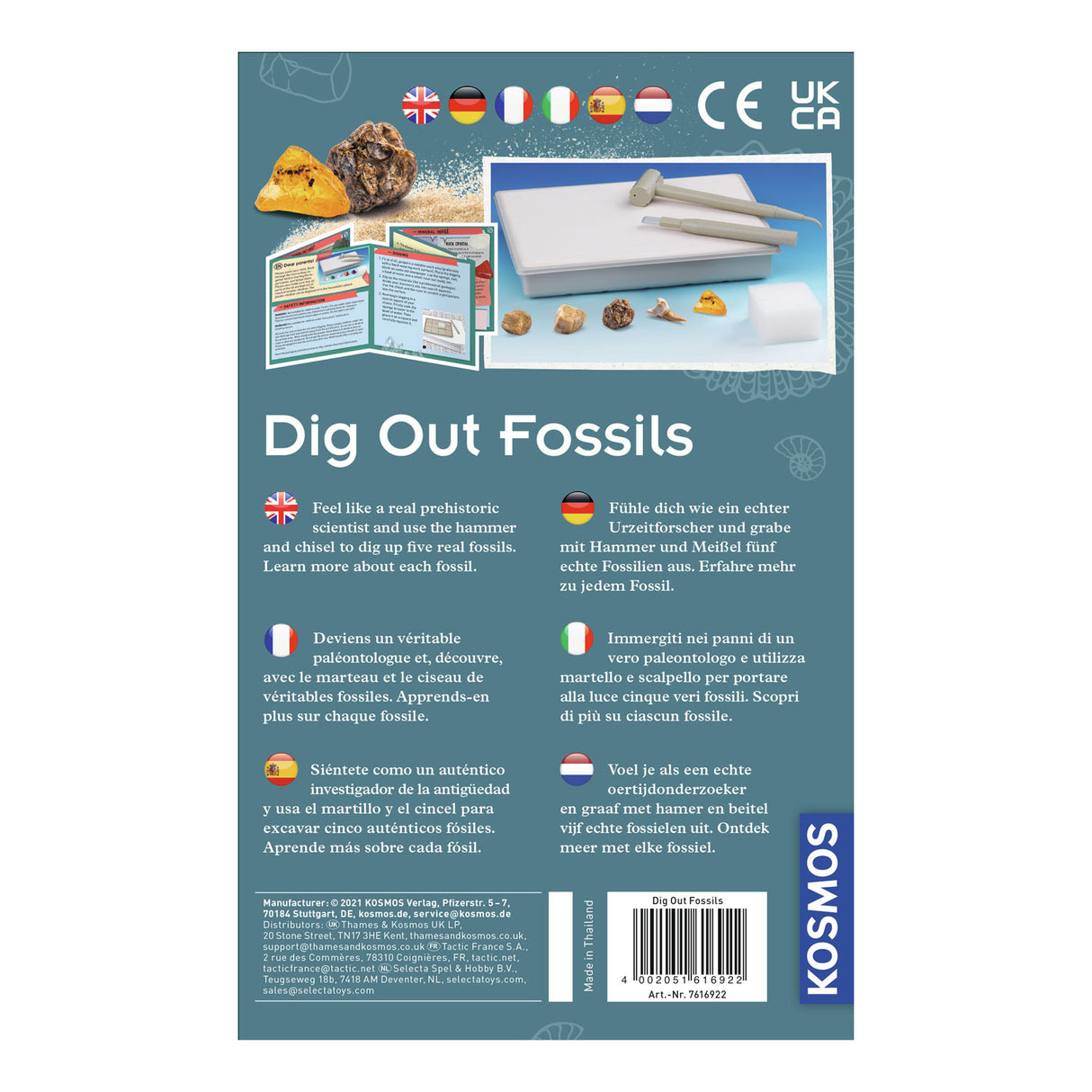Kosmosfossilien herausarbeiten