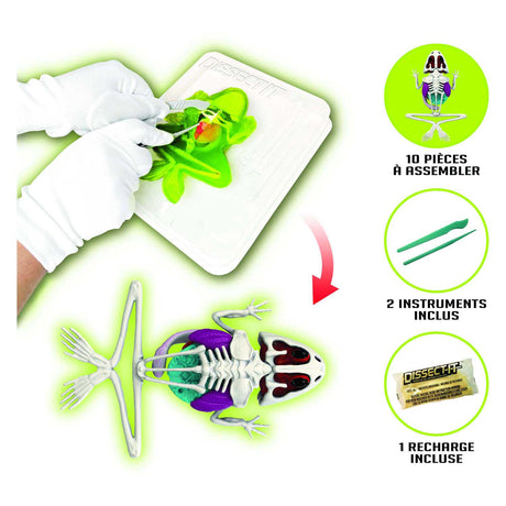 Joker Slimy Lab Dissect-It – Seziere einen Frosch