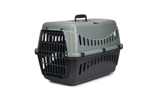 Beeztees Gipsy Öko-Reisekorb Katze – Transportbox Katze kleines Haustier – abnehmbarer Deckel grün schwarz – L – 58 x 38 x 38 cm l