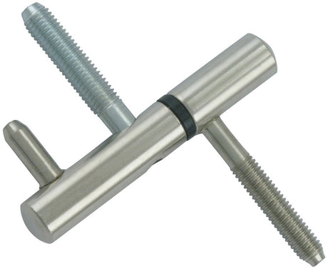 Axa inboorpaumelles vernikkeld 14mm (2x)1177-10-37 ote
