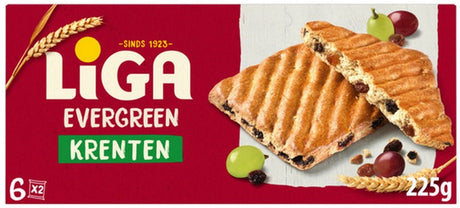 Liga immergrüne Johannisbeeren (24x 38gr)