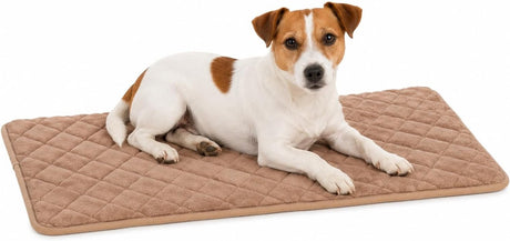 Flamingo-Hundekissen – orthopädisches Hundekissen – Memory-Schaum-Bankkissen – Weimar Beige S – Premium-Komfort für Hundebox – rutschfest – 70,5 cm